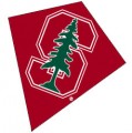 Stanford University Diamond Kite