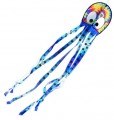 Octopus, Crazy the Tie Dye Octopus