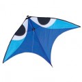 Aerobe Wala, Blue