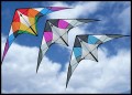 The Acrobatx Kite comes in your choice of: Rainbow, Purple, or Blue