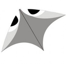 Aerobe Wala, Gray