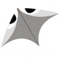 Aerobe Wala, Gray
