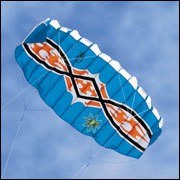 Quad-Line ParaStunter