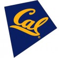 UC Berkeley Kite, Cal Kite