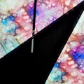 BKF Custom Revolution Kite - Aquarium
