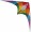 This Rainbow Acrobatx kite is our best selling color.