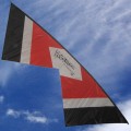 Revolution Indoor Kite
