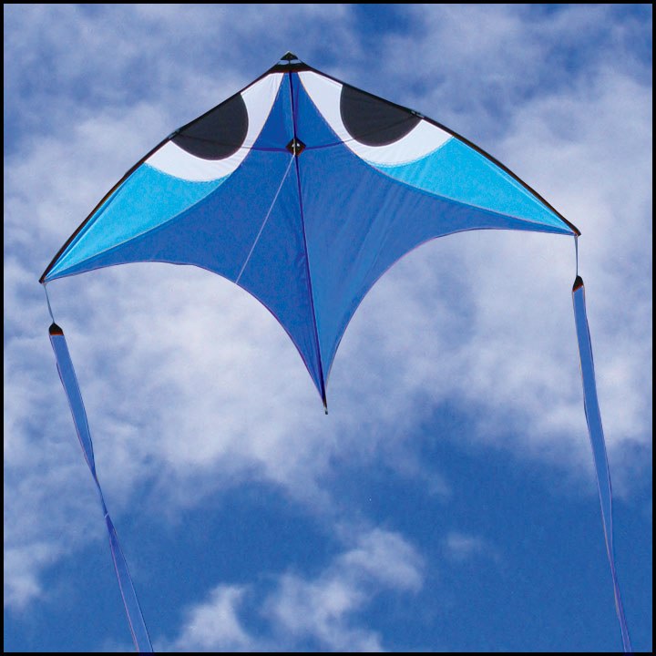 Wala_Aerobe_Blue.jpg