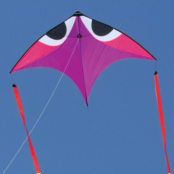 Wala_Aerobe_Purple.jpg Wala_Aerobe_Purple.jpg