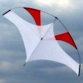 Emong Gliding Kite, Flying Wings